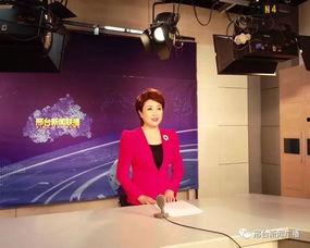 石家庄爆料邢台新闻联播,邢台新闻联播聚焦最新动态  第2张