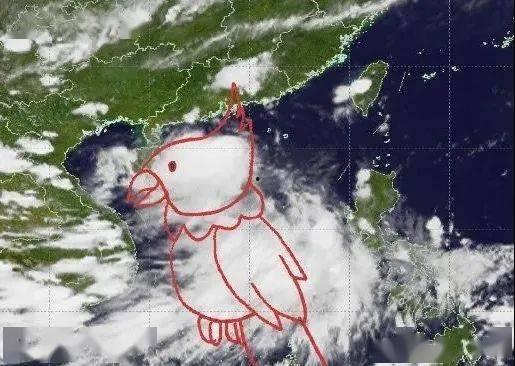 台风鹦鹉最新爆料,最新动态及防范措施全解析” 第1张 台风鹦鹉最新爆料,最新动态及防范措施全解析” 第1张